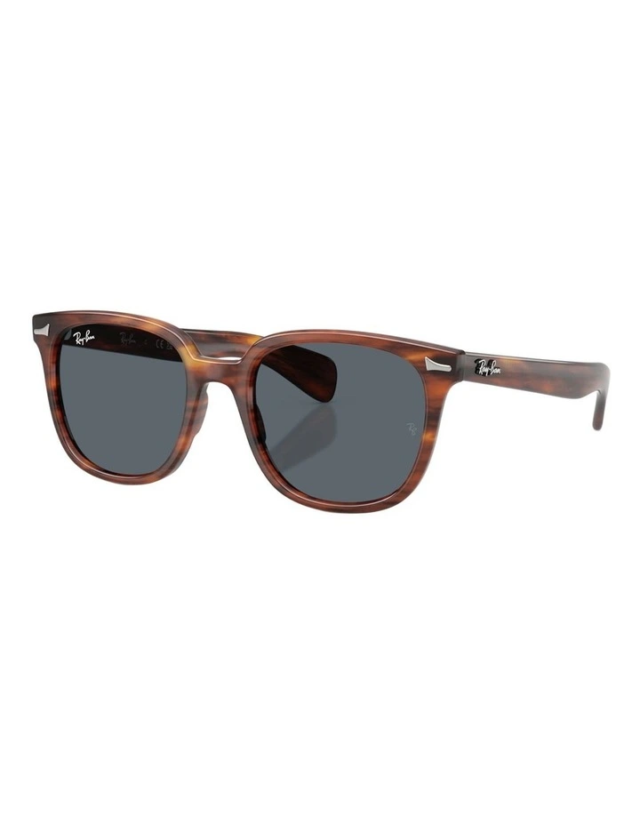 Ray-Ban Brunel II Propionate Sunglasses in Brown image 1