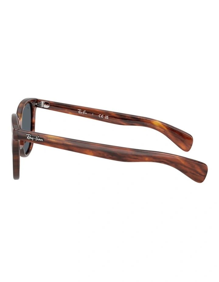 Ray-Ban Brunel II Propionate Sunglasses in Brown image 3
