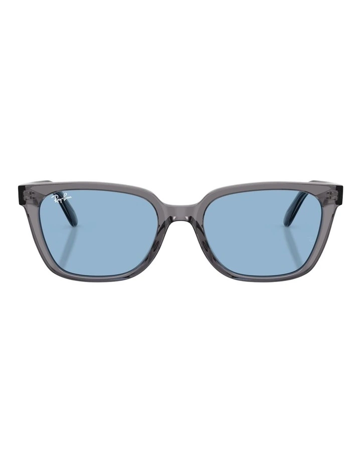 Ray-Ban RB2243D Acetate Sunglasses in Grey image 1