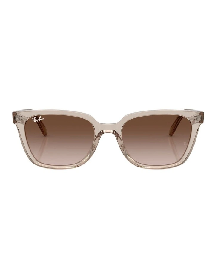Ray-Ban RB2243D Acetate Sunglasses in Brown image 2