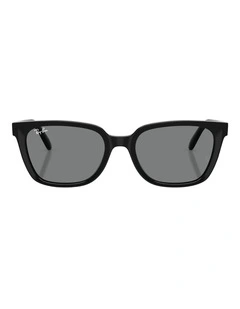 Ray-Ban RB2243D Acetate Sunglasses in Black