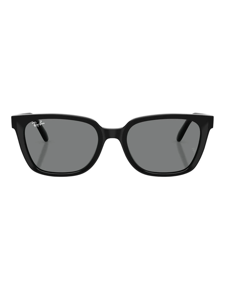 Ray-Ban RB2243D Acetate Sunglasses in Black image 1