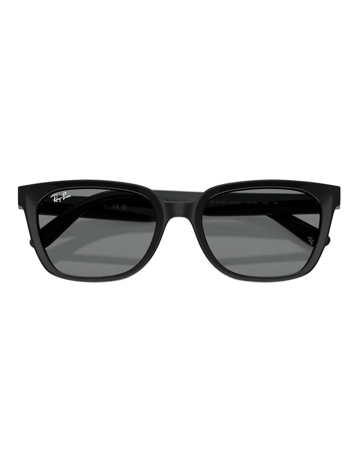 Ray-Ban RB2243D Acetate Sunglasses in Black image 3