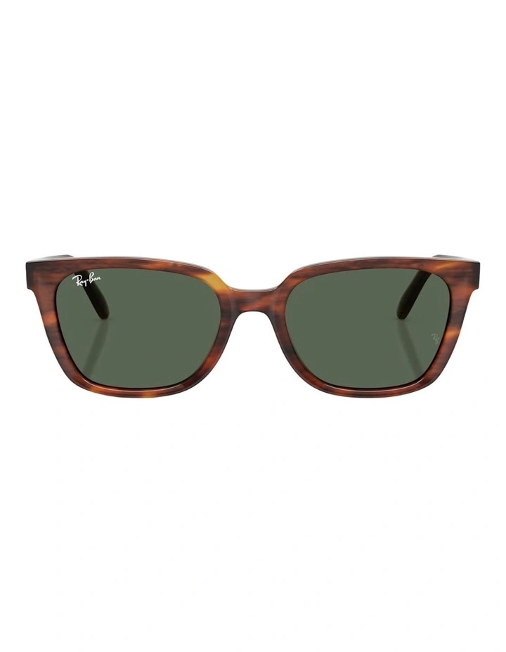 Ray-Ban RB2243D Acetate Sunglasses in Brown image 2