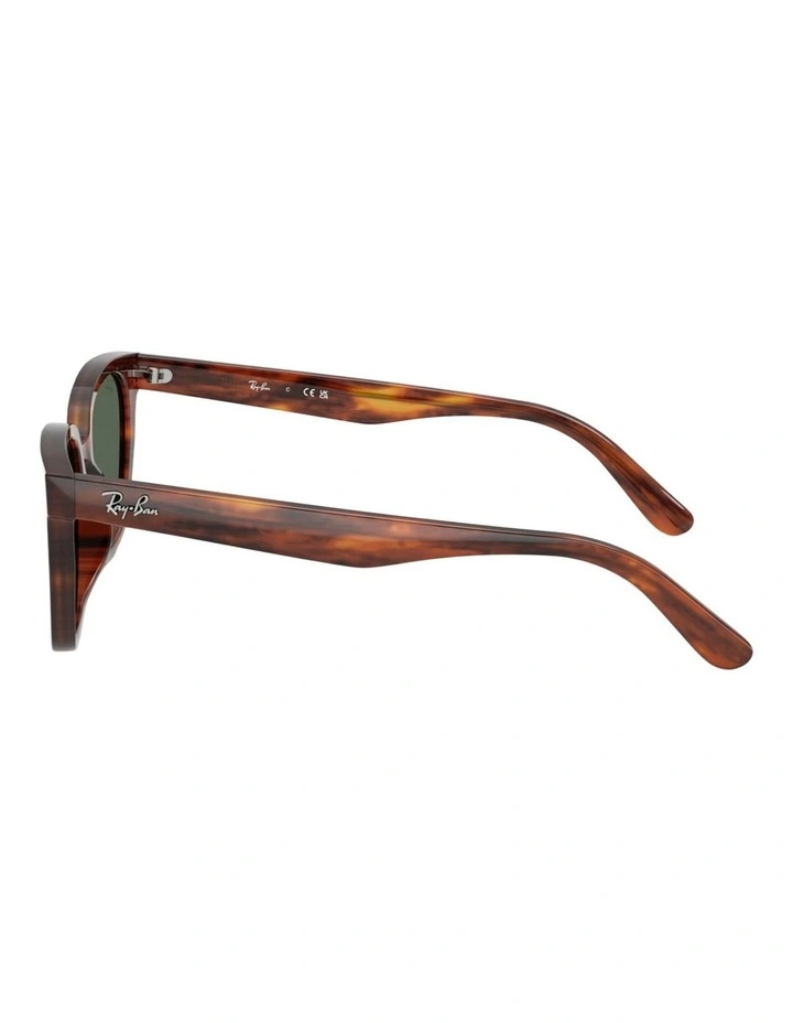 Ray-Ban RB2243D Acetate Sunglasses in Brown image 3