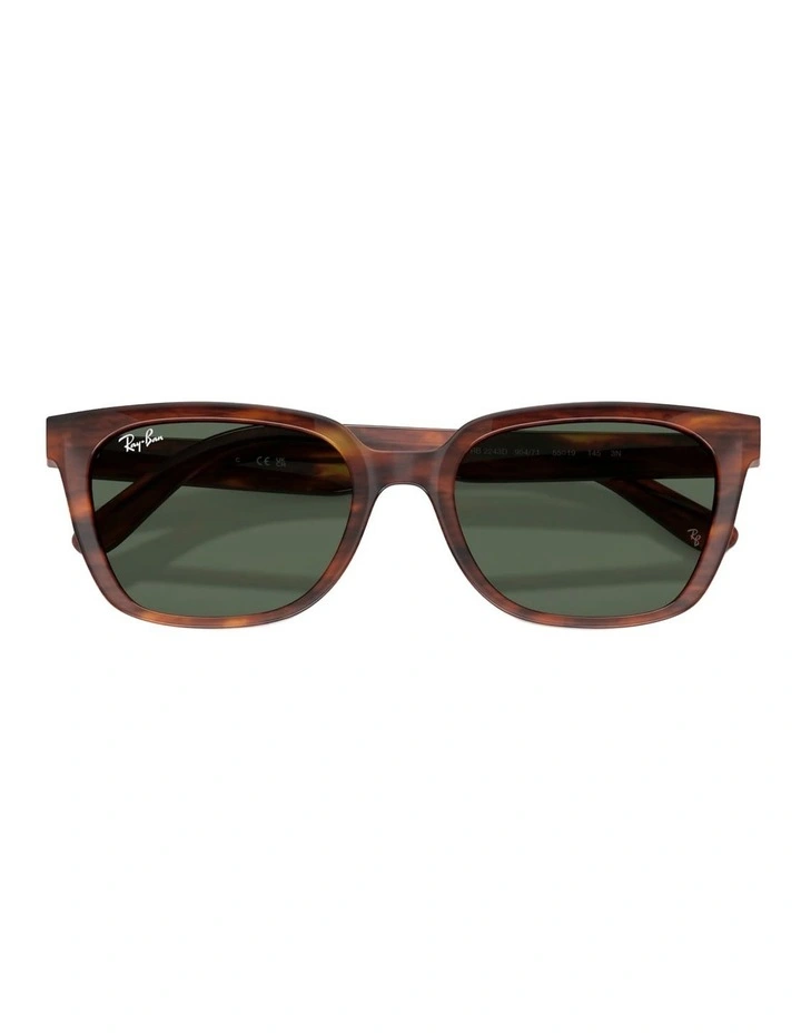 Ray-Ban RB2243D Acetate Sunglasses in Brown image 4