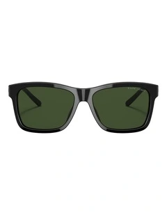 Ralph Lauren RL8203QU Acetate Sunglasses in Black