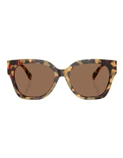 Ralph Lauren The Overszed Ricky Acetate Sunglasses in Brown