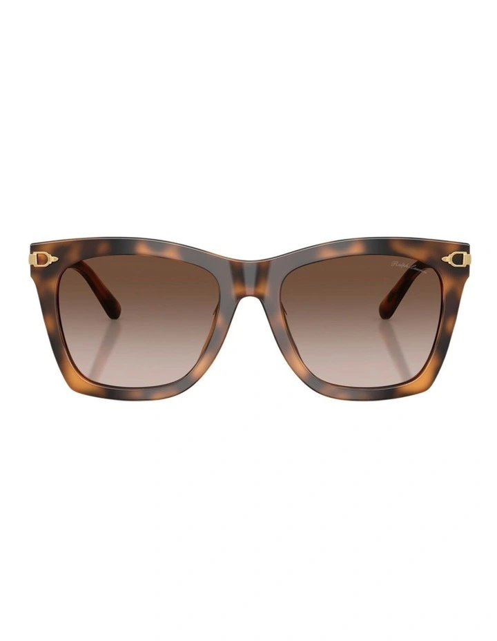 Ralph Lauren Acetate Sunglasses in Tortoise image 1
