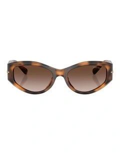 Ralph Lauren  Acetate Sunglasses in Tortoise