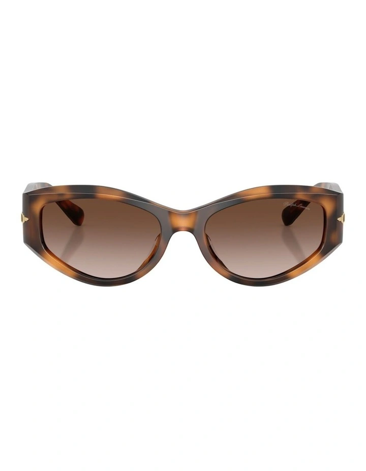 Ralph Lauren Acetate Sunglasses in Tortoise image 1