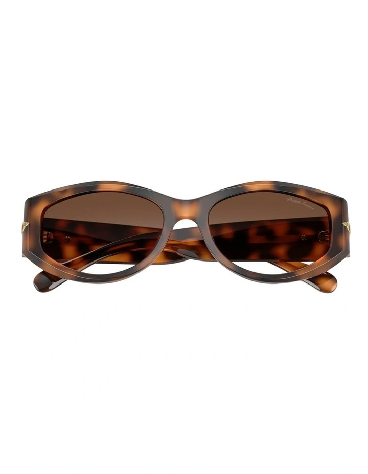 Ralph Lauren Acetate Sunglasses in Tortoise image 3