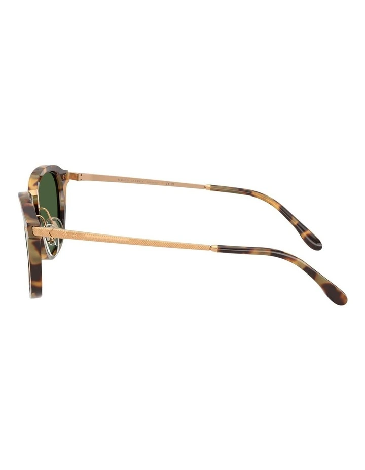 Ralph Lauren Acetate Sunglasses in Brown image 2