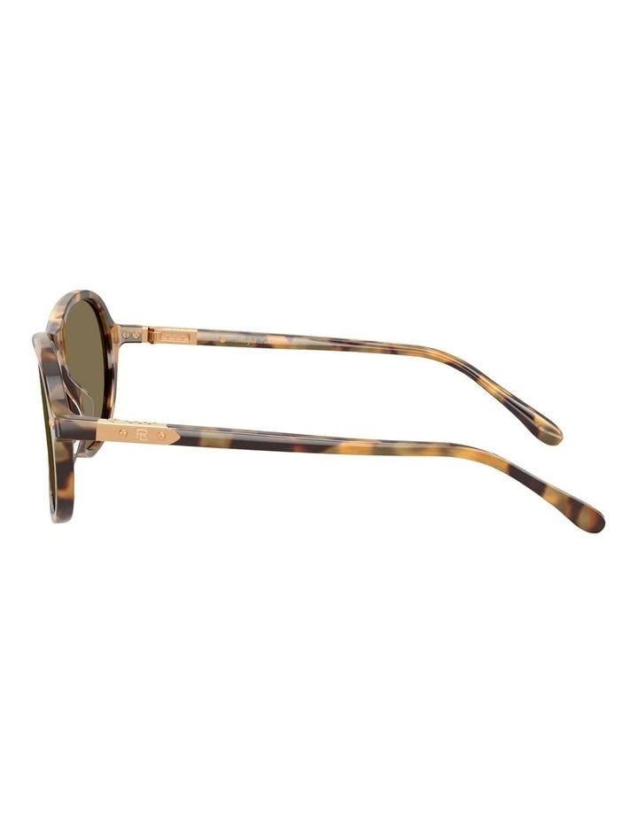 Ralph Lauren  Acetate Sunglasses in Brown image 3