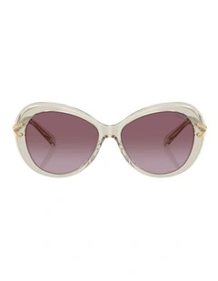 Swarovski  Acetate Sunglasses in Beige