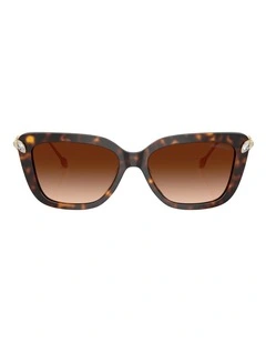 Swarovski  Acetate Sunglasses in Tortoise