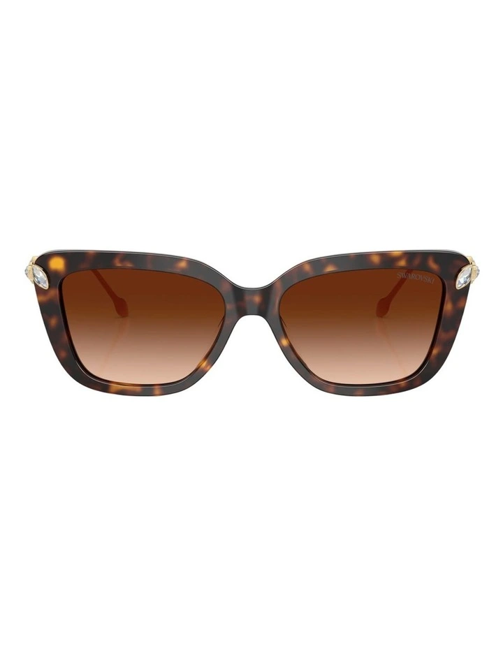 Swarovski Acetate Sunglasses in Tortoise image 1