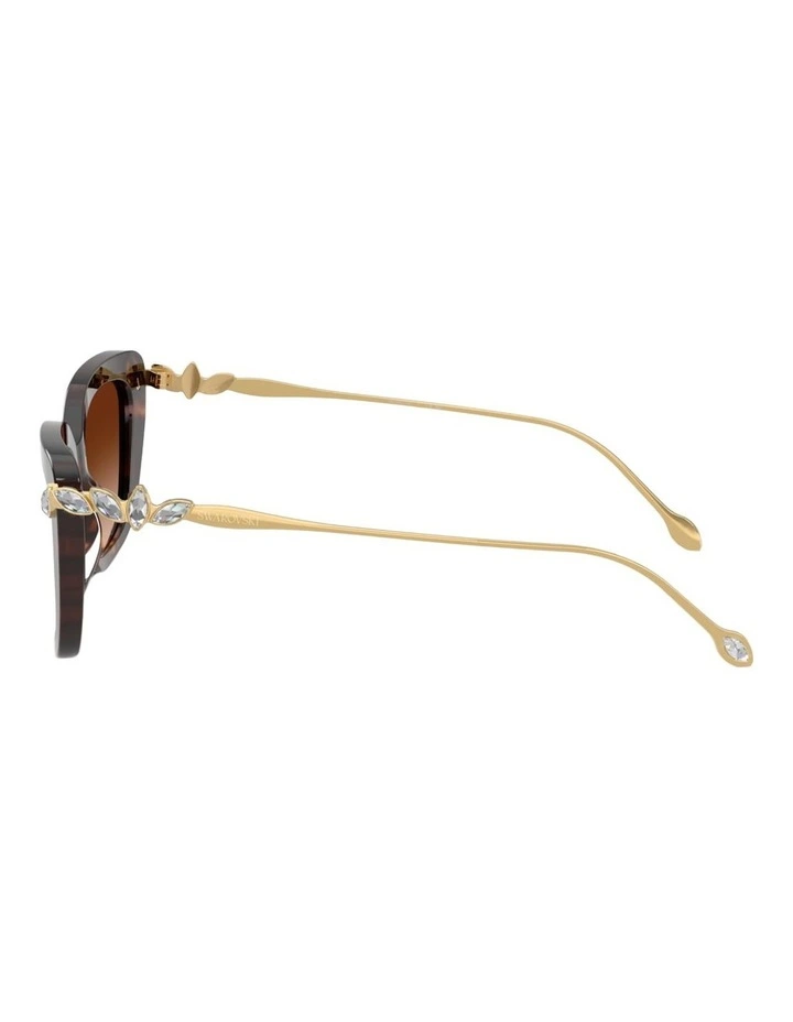 Swarovski Acetate Sunglasses in Tortoise image 3