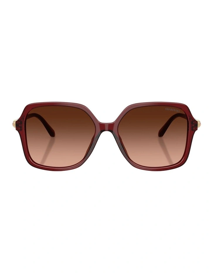 Swarovski  Acetate Sunglasses in Red image 1