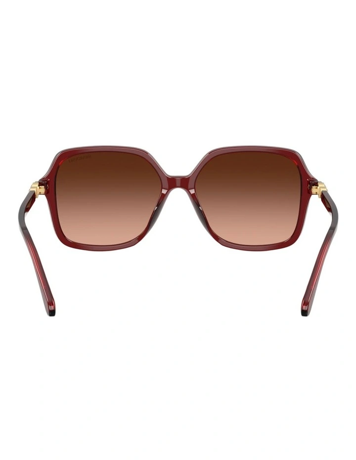 Swarovski  Acetate Sunglasses in Red image 2
