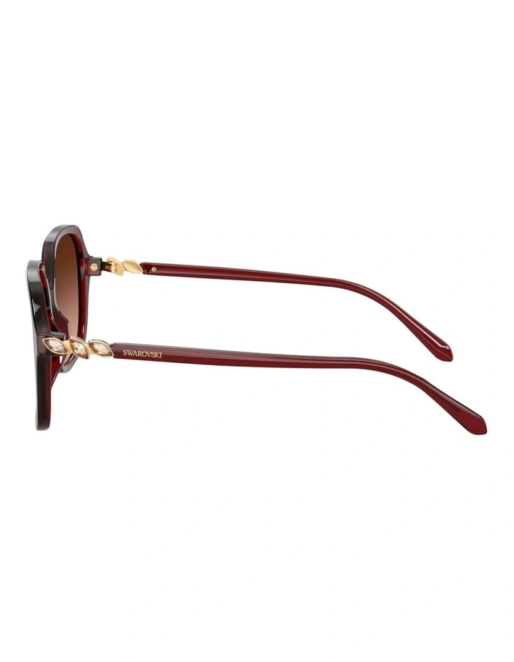Swarovski  Acetate Sunglasses in Red image 3