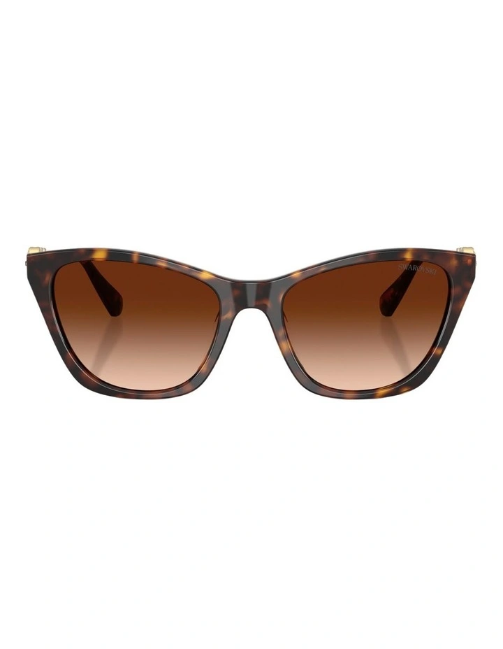 Swarovski Acetate Sunglasses in Tortoise image 1