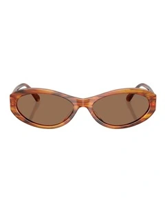 Swarovski  Acetate Sunglasses in Brown