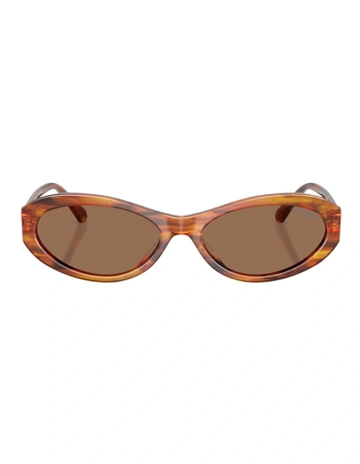 Swarovski  Acetate Sunglasses in Brown image 1