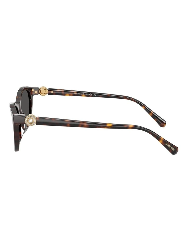 Swarovski Acetate Sunglasses in Tortoise image 3