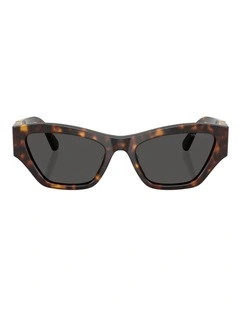 Swarovski  Acetate Sunglasses in Tortoise