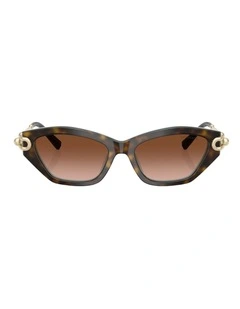 Tiffany & Co. Acetate Sunglasses in Brown
