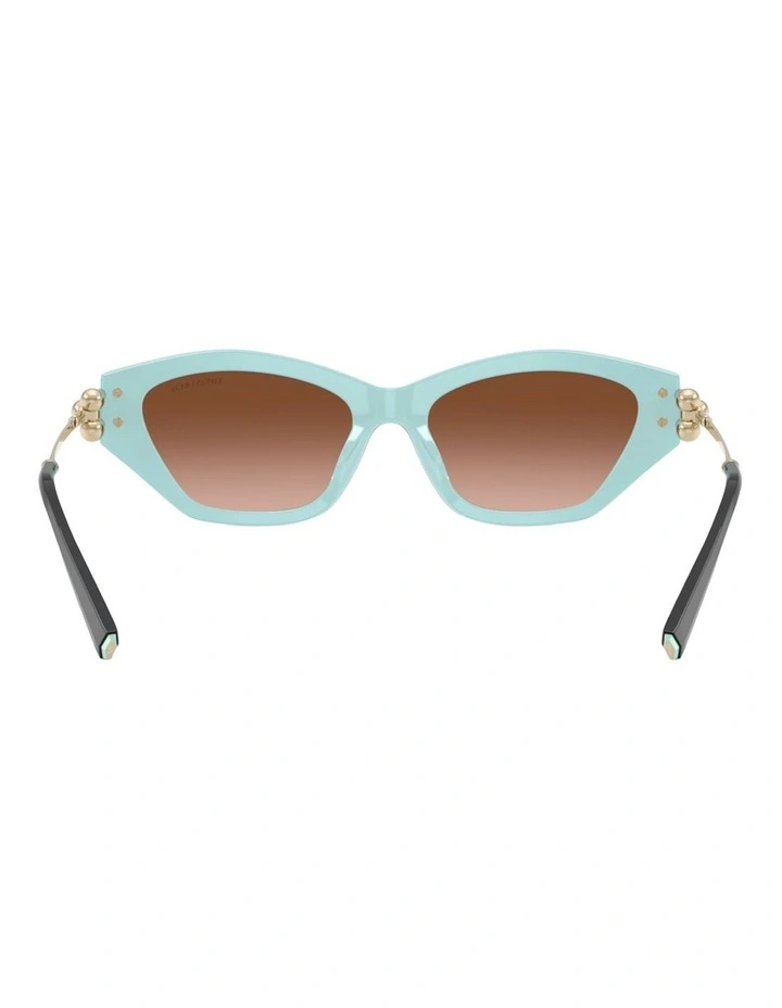 Tiffany & Co. Acetate Sunglasses in Brown image 2