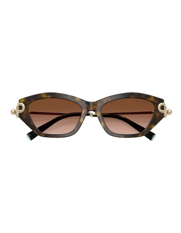 Tiffany & Co. Acetate Sunglasses in Brown image 3