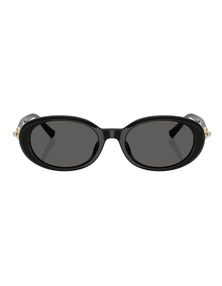 Tiffany & Co.  Acetate Sunglasses in Black image 1