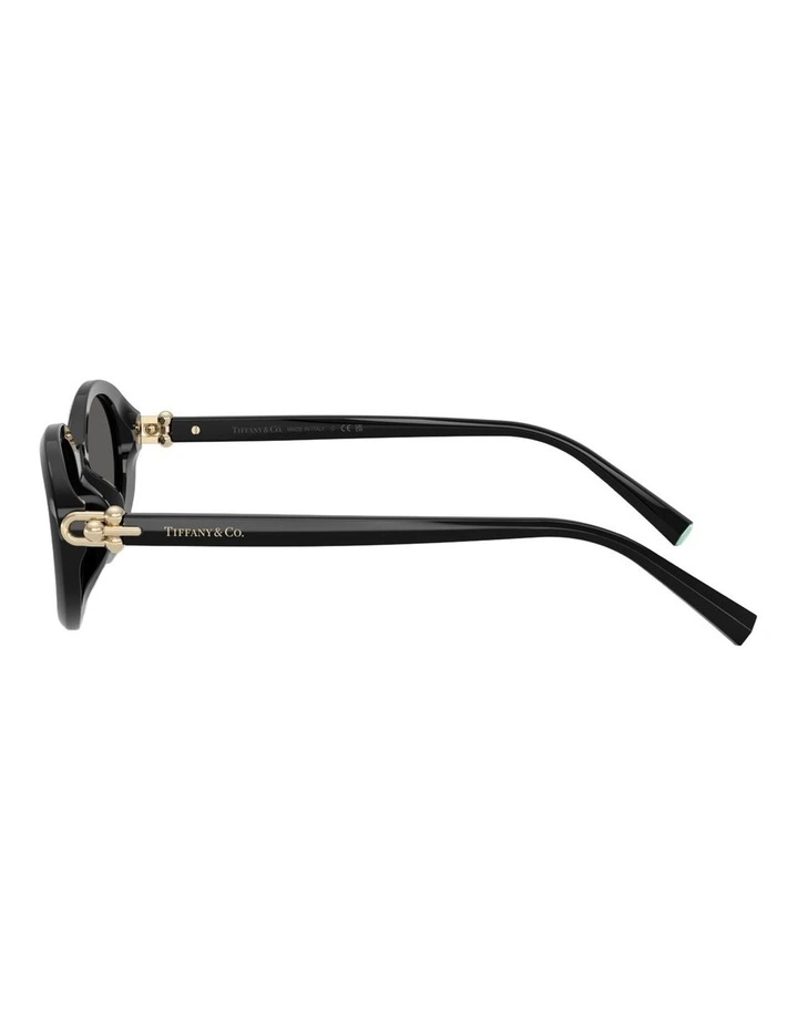 Tiffany & Co.  Acetate Sunglasses in Black image 2