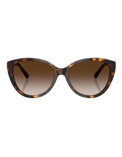 Tiffany & Co. Acetate Sunglasses in Tortoise