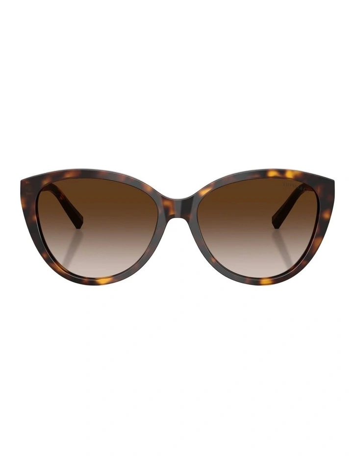 Tiffany & Co. Acetate Sunglasses in Tortoise image 1