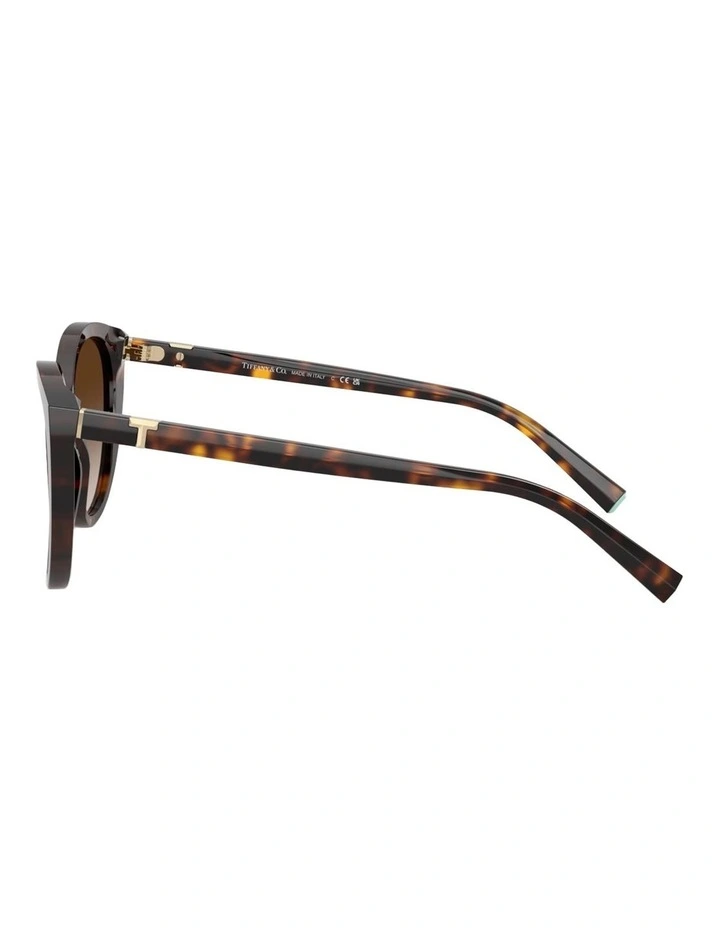 Tiffany & Co. Acetate Sunglasses in Tortoise image 2