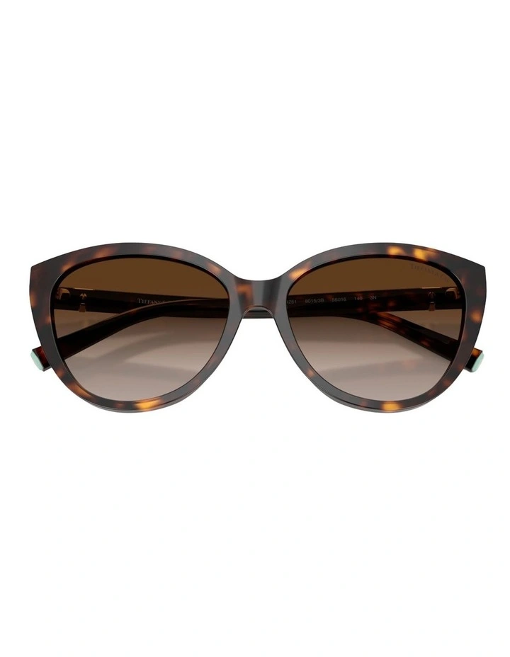 Tiffany & Co. Acetate Sunglasses in Tortoise image 3