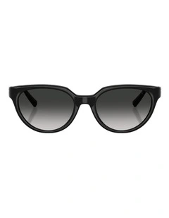 Tiffany & Co. Injected Sunglasses in Black