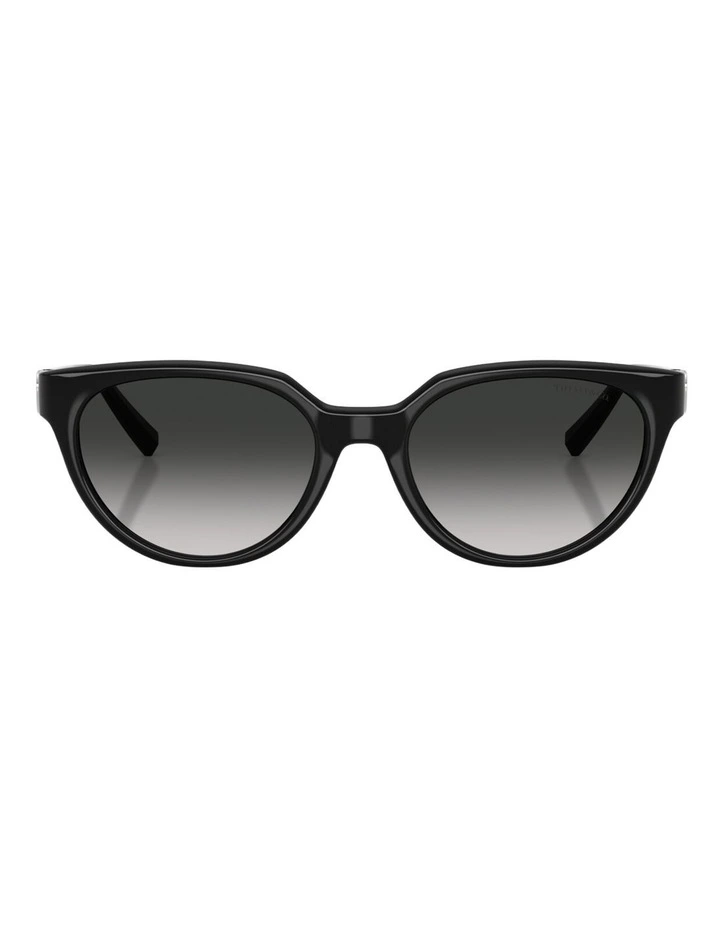 Tiffany & Co. Injected Sunglasses in Black image 1