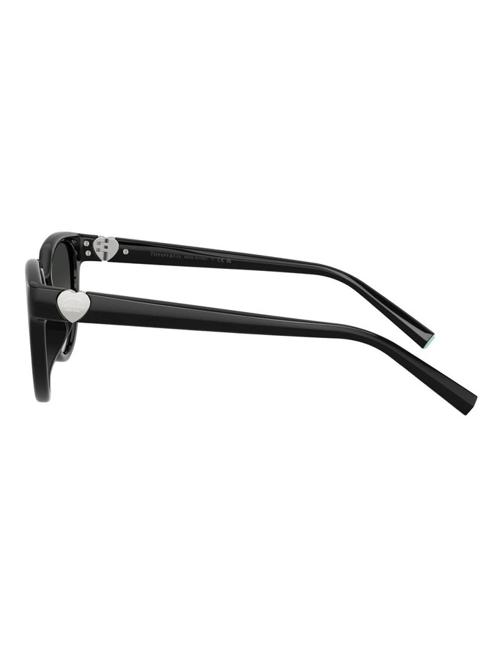 Tiffany & Co. Injected Sunglasses in Black image 2