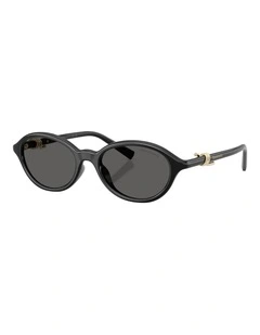 Tiffany & Co. Injected Sunglasses in Black