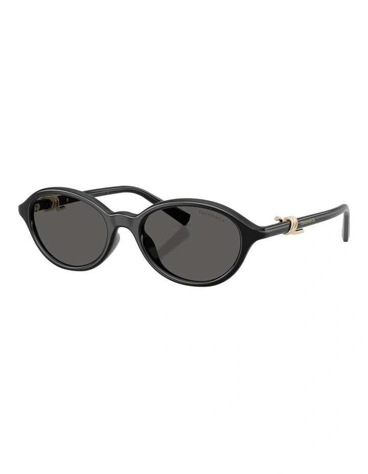 Tiffany & Co. Injected Sunglasses in Black image 1