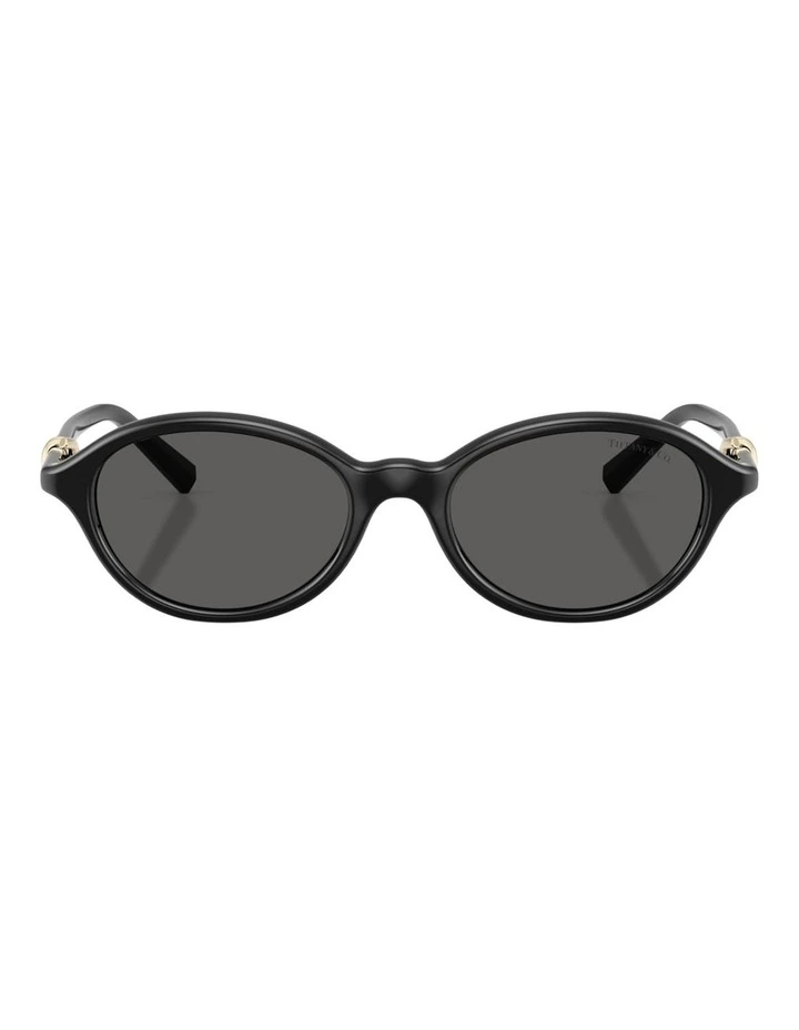 Tiffany & Co. Injected Sunglasses in Black image 2