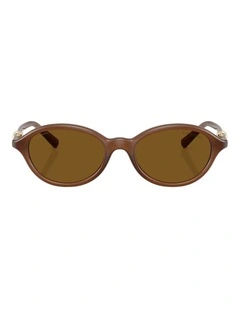 Tiffany & Co. Injected Polarised Sunglasses in Gold