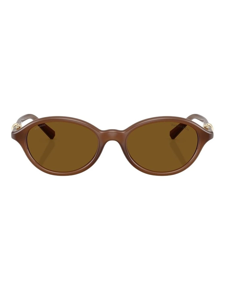 Tiffany & Co. Injected Polarised Sunglasses in Gold image 1