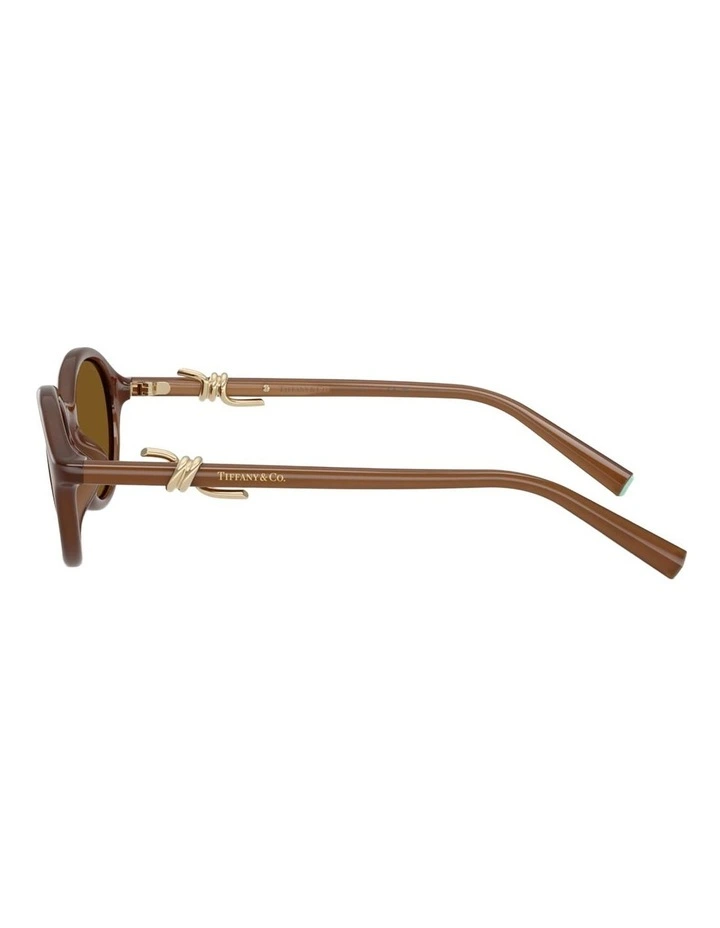 Tiffany & Co. Injected Polarised Sunglasses in Gold image 2