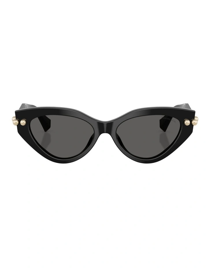 Tiffany & Co. Acetate Sunglasses in Black image 2
