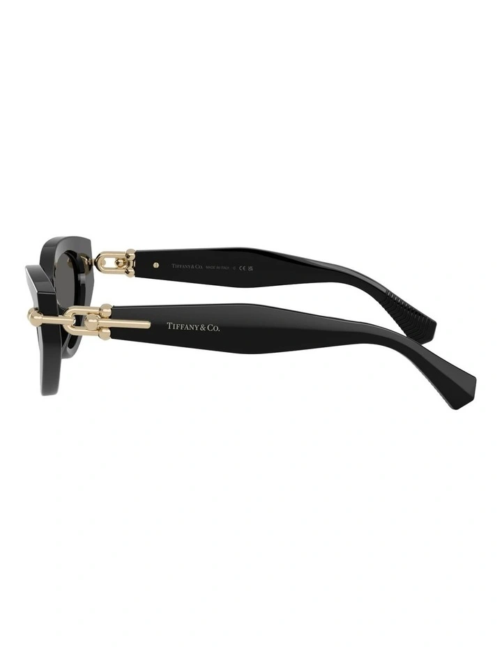 Tiffany & Co. Acetate Sunglasses in Black image 3